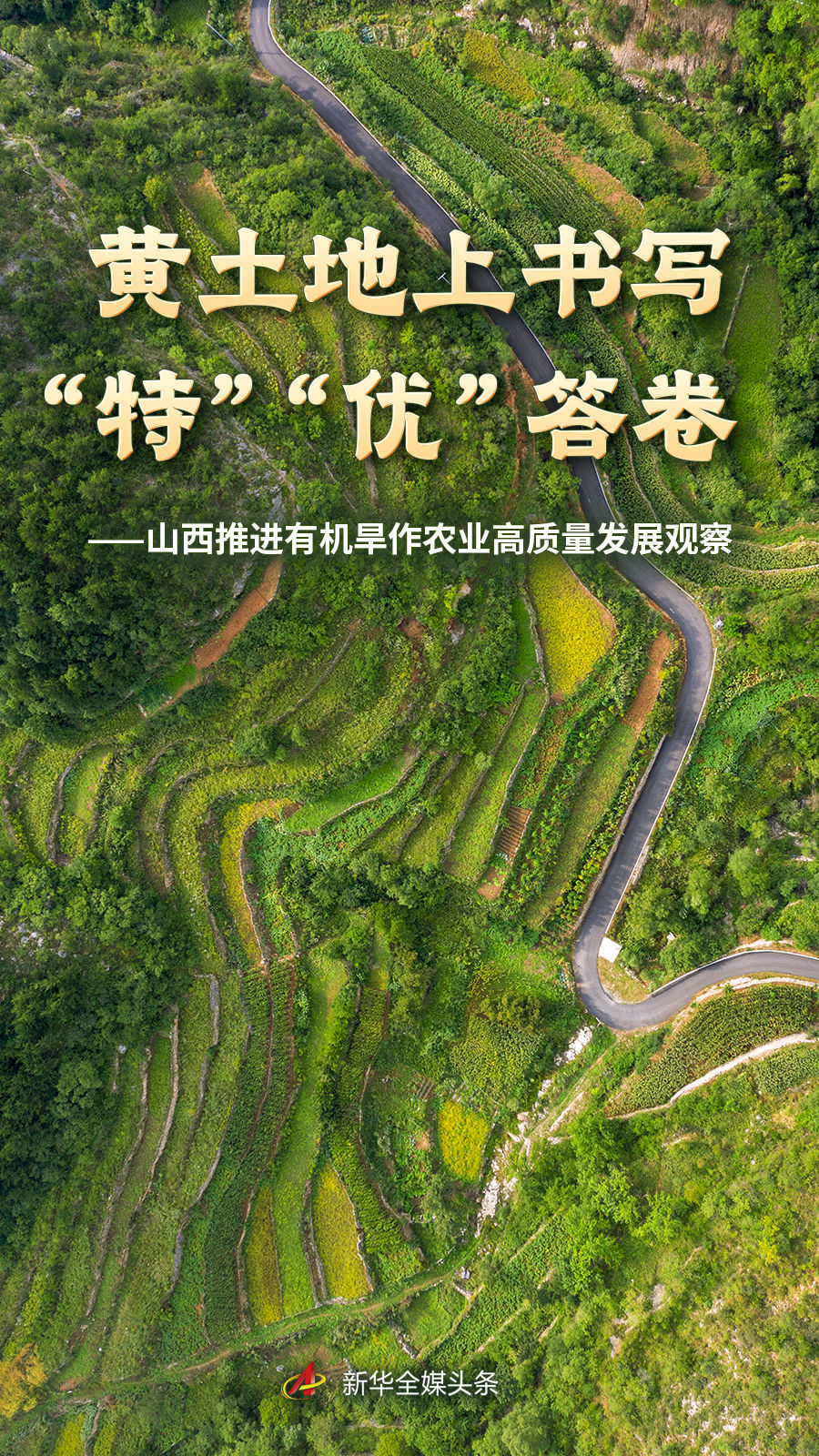 深度解析：足球转会市场的最新动态 - jiuyou